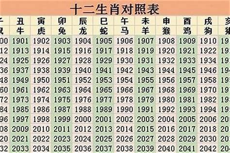 2025年是什么生肖|2025年属什么生肖 2025年的生肖是什么